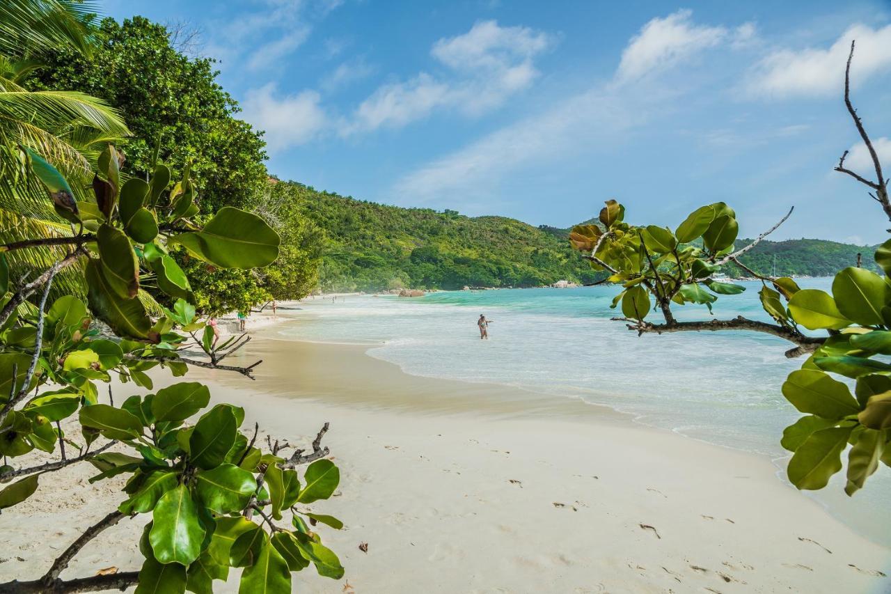 Lou Lou Bungalow Grand Anse  Exteriér fotografie