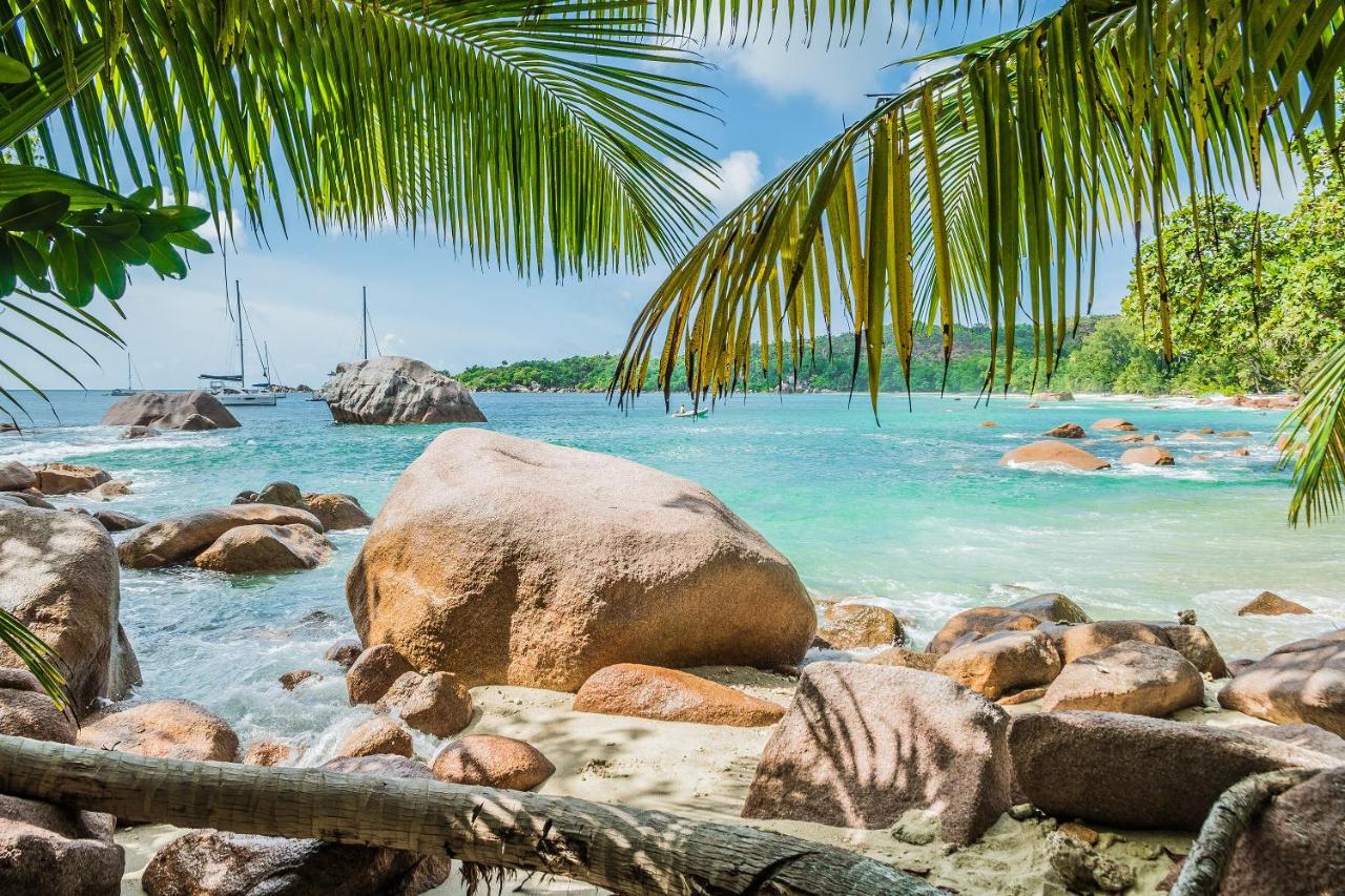 Lou Lou Bungalow Grand Anse  Exteriér fotografie