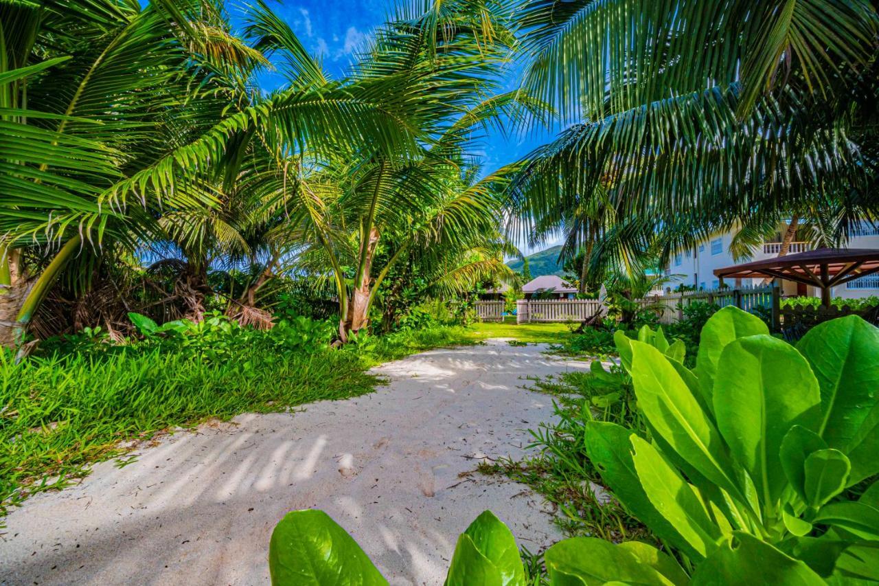 Lou Lou Bungalow Grand Anse  Exteriér fotografie
